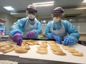 Saisie record de cornes de rhinocéros à Singapour