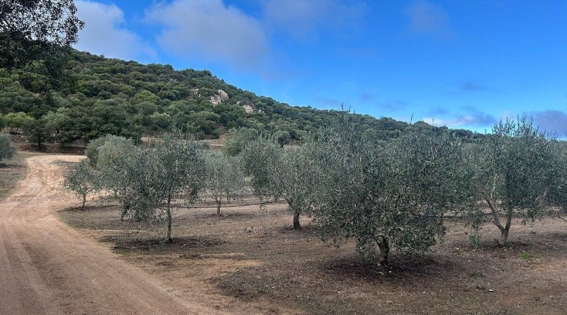 illustration agrandir l