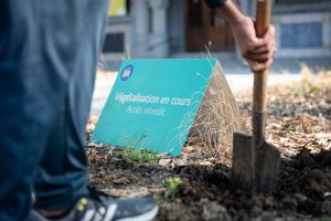 Saison des plantations 2025/2026