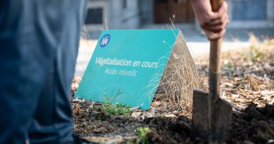 Saison des plantations 2025/2026