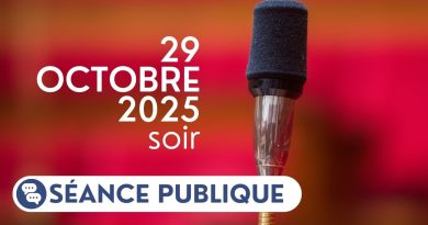Séance publique du 29 octobre 2025 en soirée