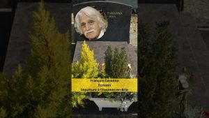 Seine-et-Marne : Tourisme et Stars au Rendez-vous