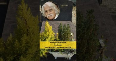 Seine-et-Marne : Tourisme et Stars au Rendez-vous