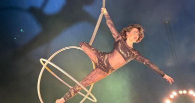 Seine-et-Marne : ce cirque de Noël a renouvelé tous ses numéros pour surprendre ses spectateurs