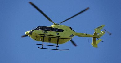 Seine-et-Marne : deux hommes en urgence absolue après un accident de bûcheronnage