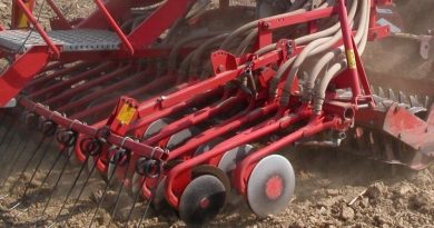 Semis tardifs de céréales : adapter la densité de semis