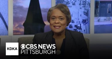 Série sur l'Employabilité des Jeunes et Ressources contre la Violence