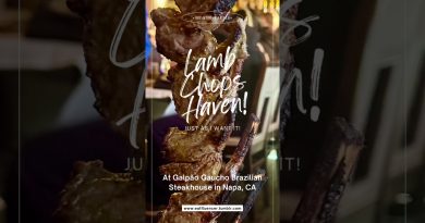 Seriez-vous prêt à payer ce prix pour un steak ? Avis Galpão Gaucho