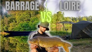 Session CARPE : Du BARRAGE à la LOIRE sous la CANICULE