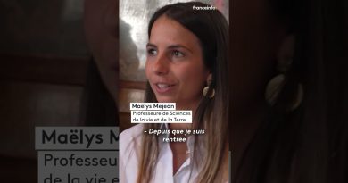 Seulement 4 % des enseignants français se sentent valorisés