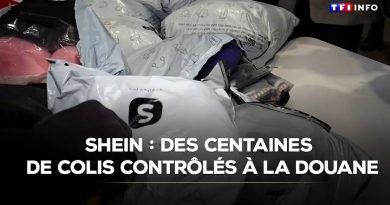 Shein : des centaines de colis inspectés par la douane