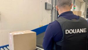 illustration agrandir l