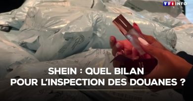 Shein : résultats de l'inspection douanière révélés