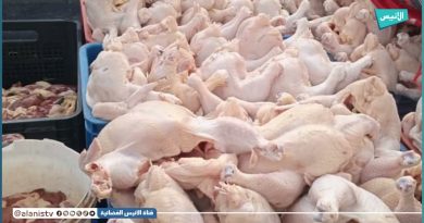 Sidi Bel Abbès : 200 poules impropres à la consommation saisies
