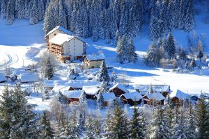 Grand Est, Strasbourg, Reims, vineyard, Alsace, Vosges, forest, cathedral, village