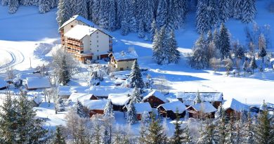 Grand Est, Strasbourg, Reims, vineyard, Alsace, Vosges, forest, cathedral, village
