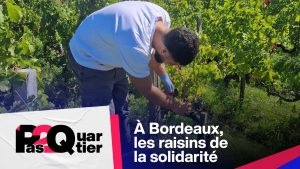 Solidarité à Bordeaux : Les raisins du quartier Pas 2