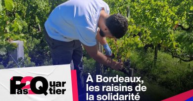 Solidarité à Bordeaux : Les raisins du quartier Pas 2