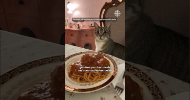 Sora : un réseau social vidéo IA inspiré de TikTok