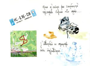 Quelques sorties guidées ou pas.