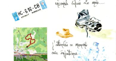 Quelques sorties guidées ou pas.