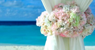 Sortir à Montpellier : salon du mariage, bourse aux oiseaux… des idées pour ce week-end des 15 et 16 novembre