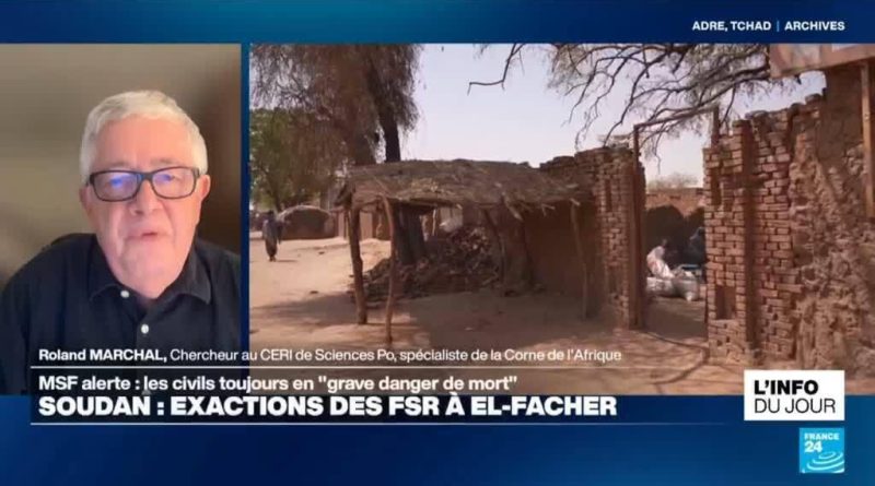Exécutions sommaires, tortures, viols : quelles exactions des FSR à El-Fasher au Soudan ?