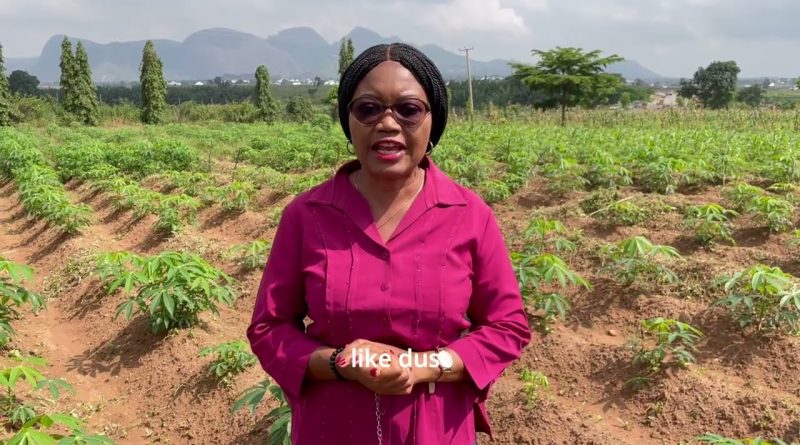 Souffle de Changement : Pollution, Santé et Agriculture en Afrique