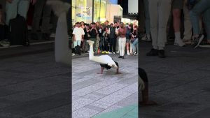 Spectacle à Times Square : performance de breakdance époustouflante