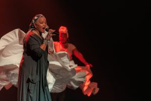 Spectacle des 60 ans de France-Antilles : les temps forts en 15 photos