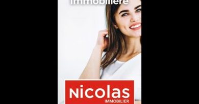 Stade du PSG à Massy : un impact sur l'immobilier en 2026