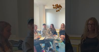 Stages internationaux : témoignages d'étudiants ISTOM