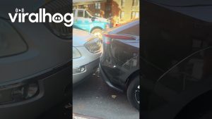 Stationnement Extrêmement Serré dans le Bronx