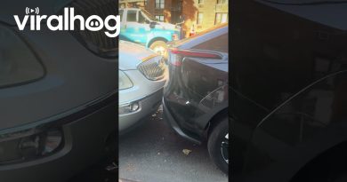 Stationnement Extrêmement Serré dans le Bronx