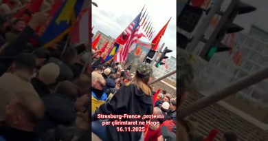Strasbourg : Manifestation pour les libérateurs à La Haye