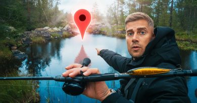 Suivre Google Maps : une aventure au cœur des ours ! 🐻
