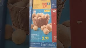 Super Promo LIDL : Offres Immanquables du 23 Octobre 2025