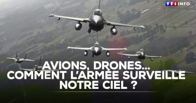 Surveillance aérienne : avions et drones de l'armée