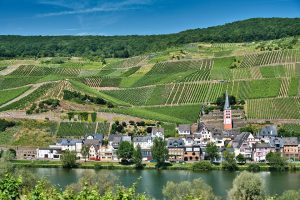 Bourgogne-Franche-Comté, Dijon, Besançon, vineyard, forest, river, mountain, village