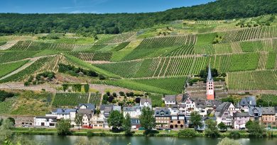 Bourgogne-Franche-Comté, Dijon, Besançon, vineyard, forest, river, mountain, village