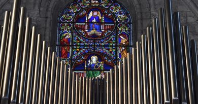 Centre-Val de Loire, Orléans, Tours, Loire river, castle, vineyard, forest, landscape