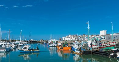 Centre-Val de Loire, Orléans, Tours, Loire river, castle, vineyard, forest, landscape