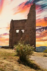 Centre-Val de Loire, Orléans, Tours, Loire river, castle, vineyard, forest, landscape