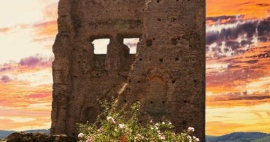 Centre-Val de Loire, Orléans, Tours, Loire river, castle, vineyard, forest, landscape