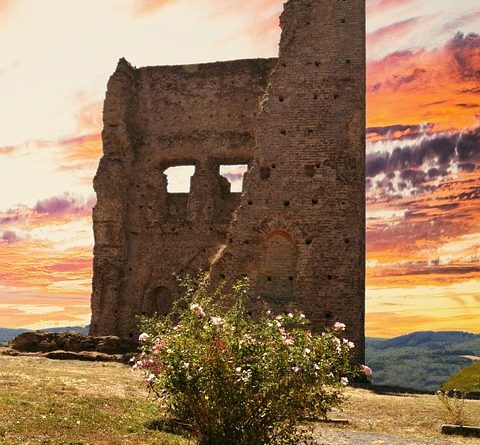 Centre-Val de Loire, Orléans, Tours, Loire river, castle, vineyard, forest, landscape