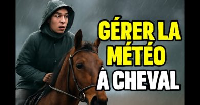 Survivre aux aléas climatiques en randonnée équestre