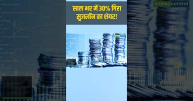 Suzlon : Chute de 30% de son action en un an !