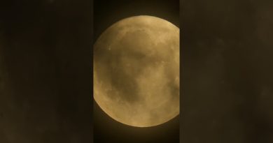 TECHNOLOGIE : TRANSFORMEZ VOTRE AVENIR 🚀 #Shorts