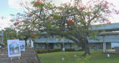 TERRE D'ECRITURE. Nicole Cage, "Cette maman-là" et "Confidientiel" (Caraïbéditions)