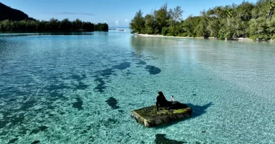 Tahiti, Moorea, Bora Bora : Vivian Roost offre des concerts "presque cinématographiques"